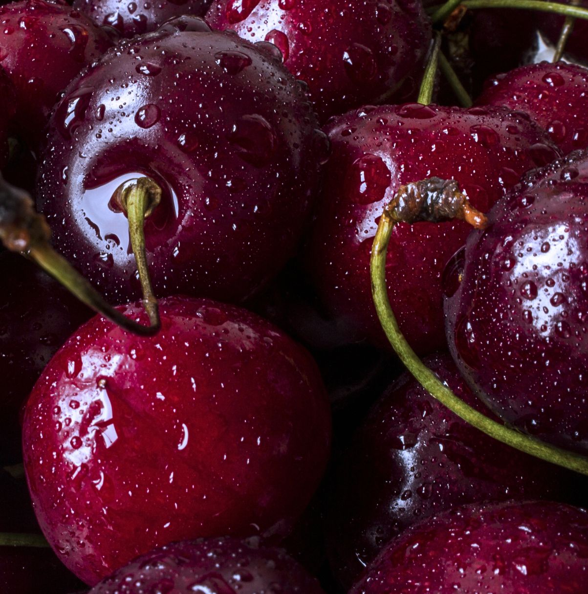 LOVE DRUNK CANDY ASS