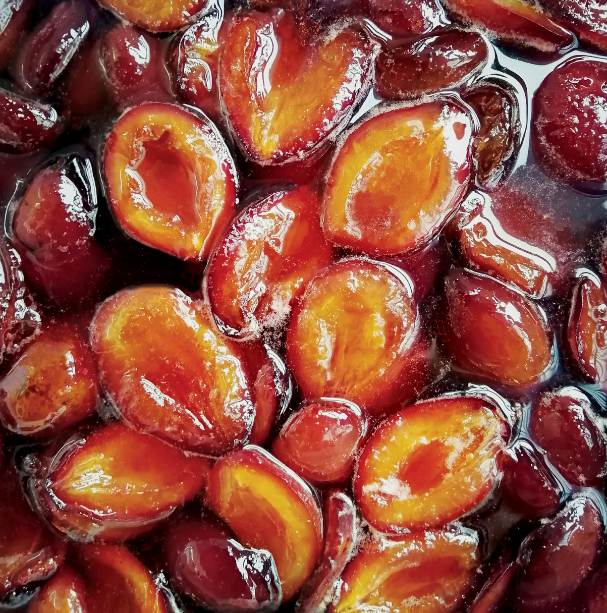 LOVE DRUNK CANDY ASS